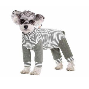 Striped Recovery Suit for Small Dogs - 2XL