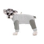 Striped Recovery Suit for Small Dogs - 2XL
