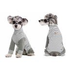 Striped Recovery Suit for Small Dogs - 2XL