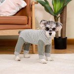 Striped Recovery Suit for Small Dogs - 2XL