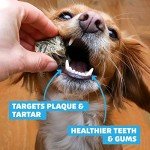 Fish Skin Jerky Cubes for Dogs - Healthy Treats