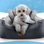 Cozy Dog Car Seat with Safety Leash - Grey