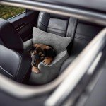 Cozy Dog Car Seat with Safety Leash - Grey