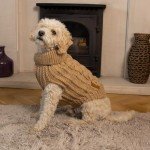 Cozy Knit Puppy Sweater - Brown Small Jumper