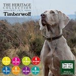 Ancol Timberwolf Leather Round Dog Training Collar