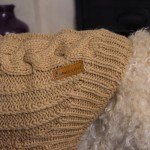 Cozy Knit Puppy Sweater - Brown Small Jumper
