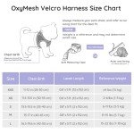 Bella & Pal Step-In Dog Harness and Leash Set