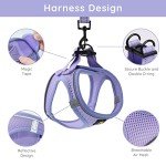 Bella & Pal Step-In Dog Harness and Leash Set