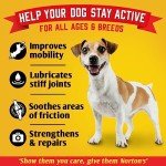 NORTON'S Joint Care Supplements for Dogs - 300 Tablets