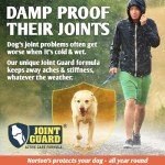 NORTON'S Joint Care Supplements for Dogs - 300 Tablets