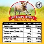 NORTON'S Joint Care Supplements for Dogs - 300 Tablets