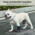 Dog Recovery Boot for Injured Paws - Medium