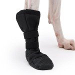 Dog Recovery Boot for Injured Paws - Medium