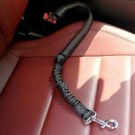 Adjustable Dog Car Seat Belt - Black Elastic