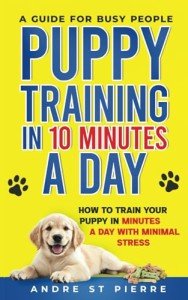 Quick Puppy Training Guide for Busy Owners