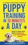 Quick Puppy Training Guide for Busy Owners