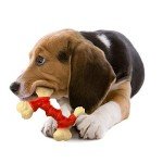 Nylabone Tough Chew Toy for Medium Dogs