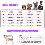 Small Dog Recovery Suit - Purple Stripe Pajamas