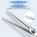 Professional Pet Grooming Scissors Set (6 Pieces)