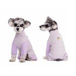 Small Dog Recovery Suit - Purple Stripe Pajamas