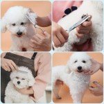 Professional Pet Grooming Scissors Set (6 Pieces)