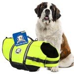 Paws Aboard Dog Life Jacket - Neon Yellow, X-Large