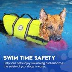 Paws Aboard Dog Life Jacket - Neon Yellow, X-Large