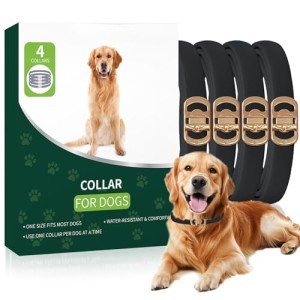 Black Waterproof Adjustable Dog Collars - 4 Pack