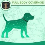 Black Waterproof Adjustable Dog Collars - 4 Pack