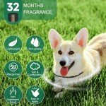 Black Waterproof Adjustable Dog Collars - 4 Pack