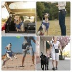 Adjustable No-Pull Dog Harness with Handle