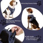 Adjustable No-Pull Dog Harness with Handle