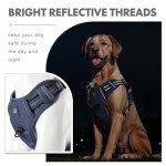 Adjustable No-Pull Dog Harness with Handle