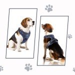Adjustable No-Pull Dog Harness with Handle