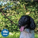 Ancol Nylon Rope Slip Lead - 1.5m Brown