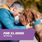Flea Treatment for Extra Large Dogs - 4 Pipettes