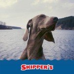 Salmon Skin Chews for Dogs - Healthy Treats