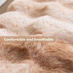Cozy Gradient Dog Sofa Bed Mat - 90cm