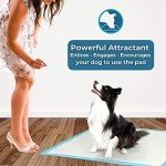 PetCellence Extra Large Puppy Pads - 40 Pack