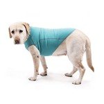 Turquoise Fleece Sweater Vest for Dogs