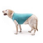 Turquoise Fleece Sweater Vest for Dogs