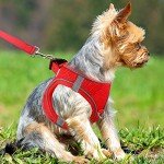 Joytale Reflective Soft Mesh Dog Harness - Small