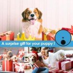 2-in-1 Dog Nail Scratch Board with Snack Compartments