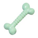 Rosewood Large Mint Chew Bone for Dogs