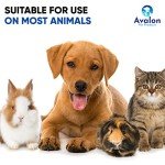 Natural Eye Drops for Dogs and Cats - 30ml