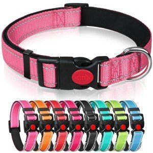Adjustable Reflective Dog Collar with Soft Padding