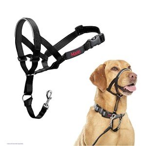 HALTI Headcollar Size 3 for Medium Dogs