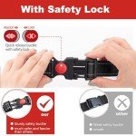 Adjustable Reflective Dog Collar with Soft Padding