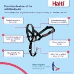 HALTI Headcollar Size 3 for Medium Dogs