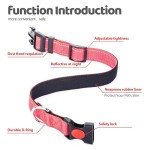 Adjustable Reflective Dog Collar with Soft Padding